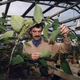 Illustration for article titled Britain Uses Imported Bugs To Combat Invasive Plant Species For The First Time